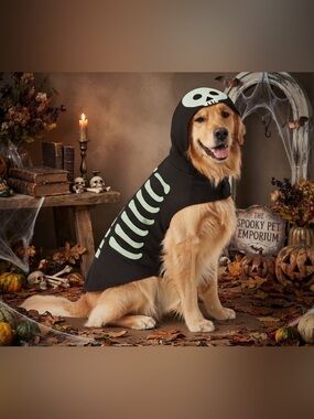 Dog Halloween costume - dog Skeleton Costume  - size large